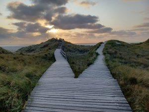 Amrum